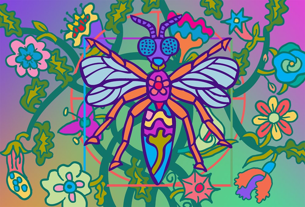 IN PRAISE OF BUGS | Gerry Baptist